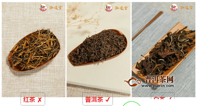 小青柑不得不说的秘密,泓达堂新会陈皮一次全告诉你!