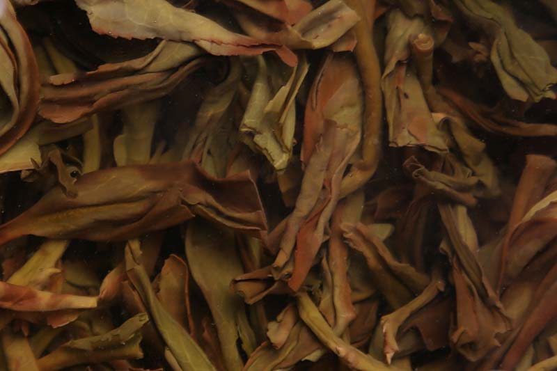 蜜兰香乌岽单丛(2017)E的简介_蜜兰香乌岽单丛(2017)的的口感_蜜兰香乌岽单丛(2017)的图片_蜜兰香乌岽单丛(2017)的冲泡