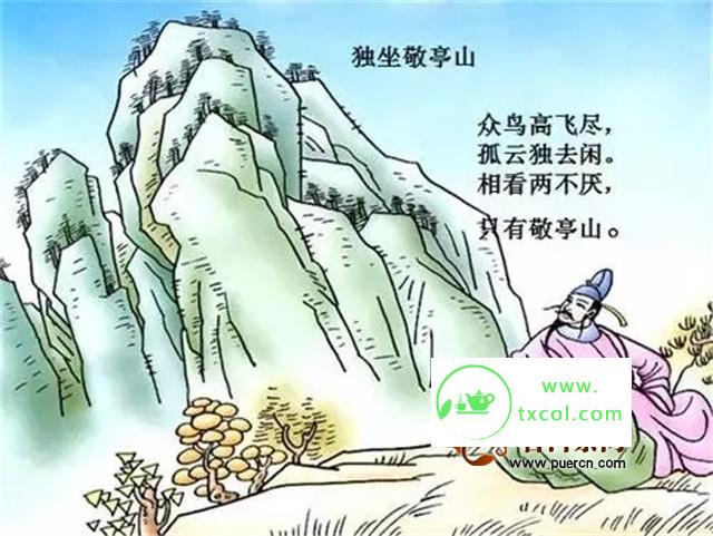 经常被误会的这些好茶