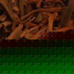 珍藏水仙春茶（2014）E的简介_珍藏水仙春茶（2014）的的口感_珍藏水仙春茶（2014）的图片_珍藏水仙春茶（2014）的冲泡