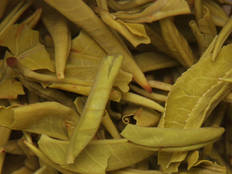 云海白毫（2016）E的简介_云海白毫（2016）的的口感_云海白毫（2016）的图片_云海白毫（2016）的冲泡